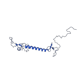 35723_8iuj_DC_v1-1
Cryo-EM structure of Euglena gracilis super-complex III2+IV2, composite