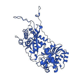 35723_8iuj_QA_v1-1
Cryo-EM structure of Euglena gracilis super-complex III2+IV2, composite