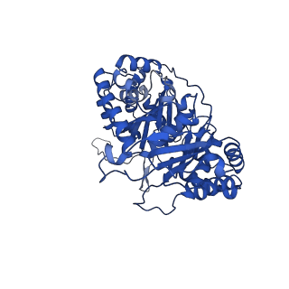 35723_8iuj_QB_v1-1
Cryo-EM structure of Euglena gracilis super-complex III2+IV2, composite