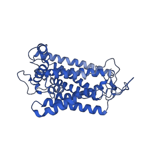 35723_8iuj_QC_v1-1
Cryo-EM structure of Euglena gracilis super-complex III2+IV2, composite