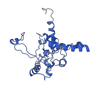 35723_8iuj_QG_v1-1
Cryo-EM structure of Euglena gracilis super-complex III2+IV2, composite