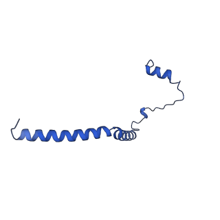 35723_8iuj_QH_v1-1
Cryo-EM structure of Euglena gracilis super-complex III2+IV2, composite