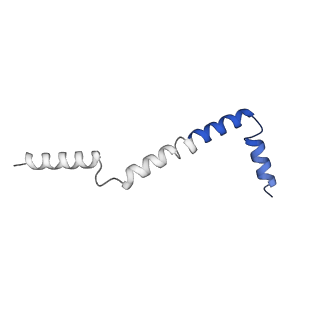 35723_8iuj_QI_v1-1
Cryo-EM structure of Euglena gracilis super-complex III2+IV2, composite