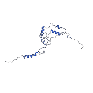 35723_8iuj_QJ_v1-1
Cryo-EM structure of Euglena gracilis super-complex III2+IV2, composite