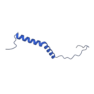 35723_8iuj_QK_v1-1
Cryo-EM structure of Euglena gracilis super-complex III2+IV2, composite