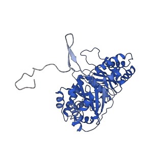 35723_8iuj_Qb_v1-1
Cryo-EM structure of Euglena gracilis super-complex III2+IV2, composite