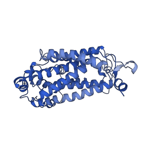 35723_8iuj_Qc_v1-1
Cryo-EM structure of Euglena gracilis super-complex III2+IV2, composite