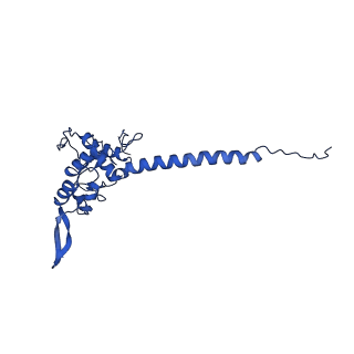 35723_8iuj_Qd_v1-1
Cryo-EM structure of Euglena gracilis super-complex III2+IV2, composite