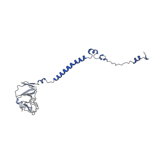 35723_8iuj_Qe_v1-1
Cryo-EM structure of Euglena gracilis super-complex III2+IV2, composite