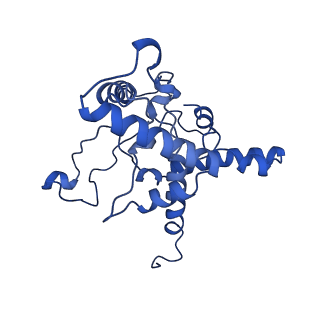 35723_8iuj_Qg_v1-1
Cryo-EM structure of Euglena gracilis super-complex III2+IV2, composite