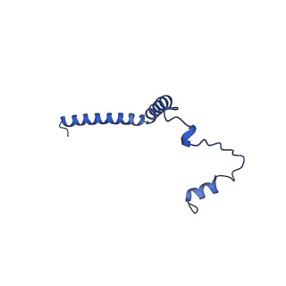 35723_8iuj_Qh_v1-1
Cryo-EM structure of Euglena gracilis super-complex III2+IV2, composite