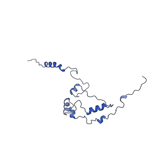 35723_8iuj_Qj_v1-1
Cryo-EM structure of Euglena gracilis super-complex III2+IV2, composite