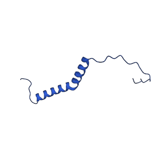 35723_8iuj_Qk_v1-1
Cryo-EM structure of Euglena gracilis super-complex III2+IV2, composite