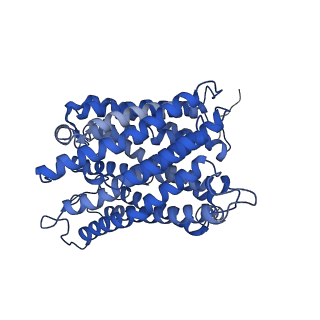 35723_8iuj_c1_v1-1
Cryo-EM structure of Euglena gracilis super-complex III2+IV2, composite