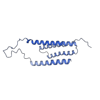 35723_8iuj_c3_v1-1
Cryo-EM structure of Euglena gracilis super-complex III2+IV2, composite