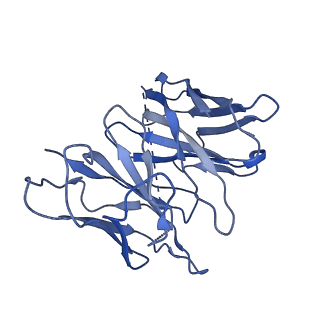 35724_8iuk_E_v1-1
Cryo-EM structure of the PGF2-alpha-bound human PTGFR-Gq complex