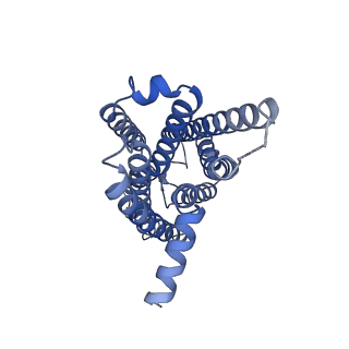 35724_8iuk_R_v1-1
Cryo-EM structure of the PGF2-alpha-bound human PTGFR-Gq complex