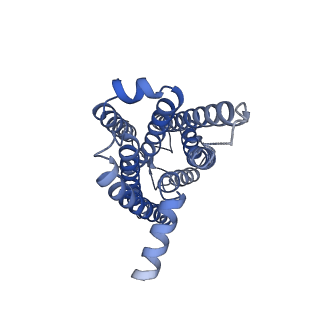 35725_8iul_R_v1-1
Cryo-EM structure of the latanoprost-bound human PTGFR-Gq complex