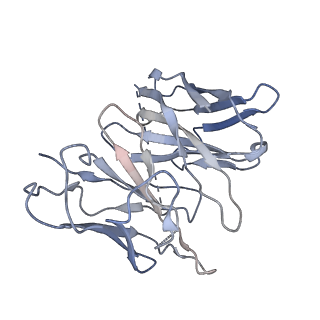 35726_8ium_E_v1-0
Cryo-EM structure of the tafluprost acid-bound human PTGFR-Gq complex