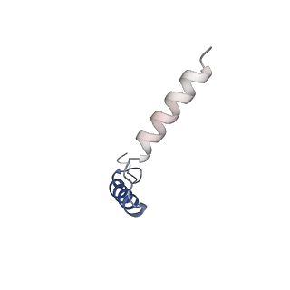 35726_8ium_G_v1-0
Cryo-EM structure of the tafluprost acid-bound human PTGFR-Gq complex