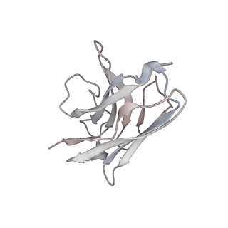 35726_8ium_N_v1-0
Cryo-EM structure of the tafluprost acid-bound human PTGFR-Gq complex