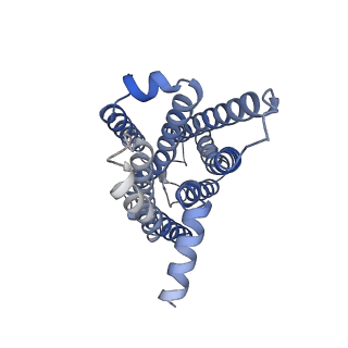 35726_8ium_R_v1-0
Cryo-EM structure of the tafluprost acid-bound human PTGFR-Gq complex