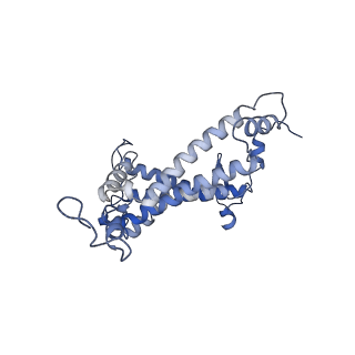 35727_8iun_L_v1-0
Cryo-EM structure of the CRT-LESS RC-LH core complex from roseiflexus castenholzii