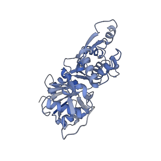 9734_6iug_A_v1-1
Cryo-EM structure of the plant actin filaments from Zea mays pollen