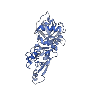 9734_6iug_B_v1-1
Cryo-EM structure of the plant actin filaments from Zea mays pollen