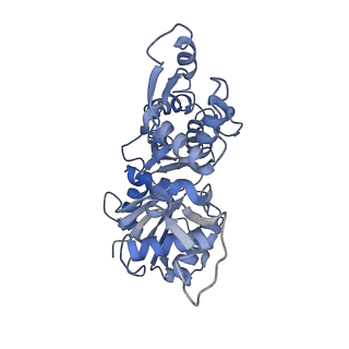 9734_6iug_C_v1-1
Cryo-EM structure of the plant actin filaments from Zea mays pollen