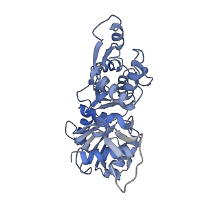 9734_6iug_C_v1-2
Cryo-EM structure of the plant actin filaments from Zea mays pollen