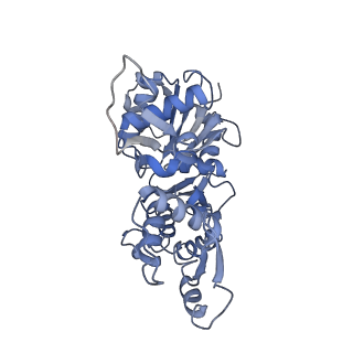 9734_6iug_D_v1-1
Cryo-EM structure of the plant actin filaments from Zea mays pollen