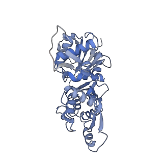 9734_6iug_D_v1-2
Cryo-EM structure of the plant actin filaments from Zea mays pollen