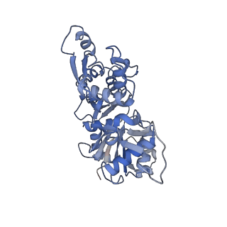 9734_6iug_E_v1-1
Cryo-EM structure of the plant actin filaments from Zea mays pollen