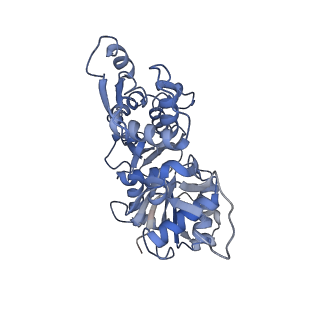 9734_6iug_E_v1-2
Cryo-EM structure of the plant actin filaments from Zea mays pollen