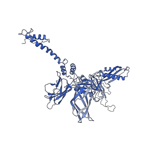 3374_5iv5_BI_v1-4
Cryo-electron microscopy structure of the hexagonal pre-attachment T4 baseplate-tail tube complex