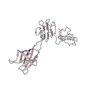 3374_5iv5_HA_v1-4
Cryo-electron microscopy structure of the hexagonal pre-attachment T4 baseplate-tail tube complex