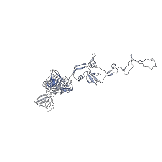 3374_5iv5_HB_v1-4
Cryo-electron microscopy structure of the hexagonal pre-attachment T4 baseplate-tail tube complex