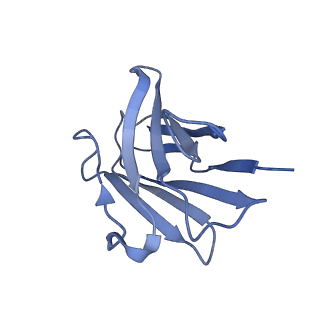 35740_8iv4_A_v1-1
Cryo-EM structure of SARS-CoV-2 spike protein in complex with double nAbs 8H12 and 3E2 (local refinement)