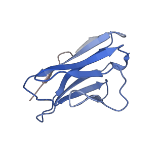 35740_8iv4_B_v1-1
Cryo-EM structure of SARS-CoV-2 spike protein in complex with double nAbs 8H12 and 3E2 (local refinement)