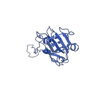 35740_8iv4_G_v1-0
Cryo-EM structure of SARS-CoV-2 spike protein in complex with double nAbs 8H12 and 3E2 (local refinement)