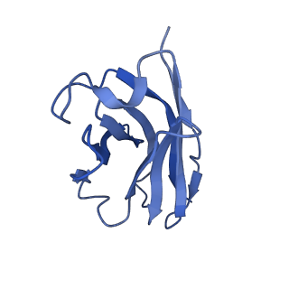 35740_8iv4_H_v1-1
Cryo-EM structure of SARS-CoV-2 spike protein in complex with double nAbs 8H12 and 3E2 (local refinement)