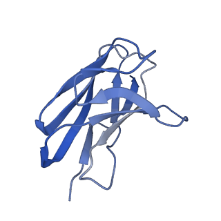 35740_8iv4_L_v1-1
Cryo-EM structure of SARS-CoV-2 spike protein in complex with double nAbs 8H12 and 3E2 (local refinement)