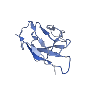 35741_8iv5_B_v1-0
Cryo-EM structure of SARS-CoV-2 spike protein in complex with double nAbs 8H12 and 1C4 (local refinement)