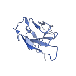 35741_8iv5_B_v1-1
Cryo-EM structure of SARS-CoV-2 spike protein in complex with double nAbs 8H12 and 1C4 (local refinement)