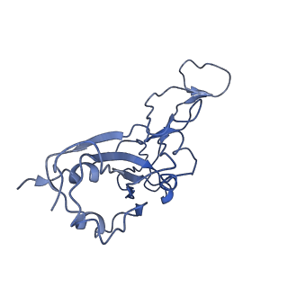 35741_8iv5_G_v1-1
Cryo-EM structure of SARS-CoV-2 spike protein in complex with double nAbs 8H12 and 1C4 (local refinement)