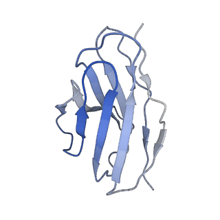35741_8iv5_L_v1-0
Cryo-EM structure of SARS-CoV-2 spike protein in complex with double nAbs 8H12 and 1C4 (local refinement)