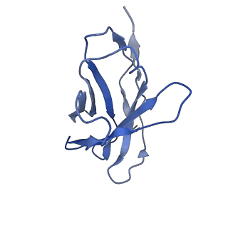 35746_8iv8_C_v1-1
Cryo-EM structure of SARS-CoV-2 spike protein in complex with double nAbs 3E2 and 1C4 (local refinement)