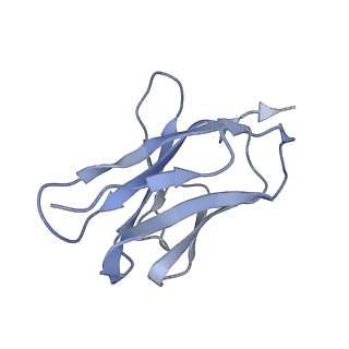 35746_8iv8_D_v1-1
Cryo-EM structure of SARS-CoV-2 spike protein in complex with double nAbs 3E2 and 1C4 (local refinement)