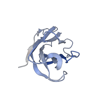 35746_8iv8_H_v1-0
Cryo-EM structure of SARS-CoV-2 spike protein in complex with double nAbs 3E2 and 1C4 (local refinement)